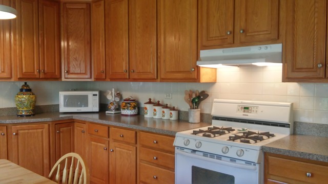 345 S Westgate Rd, Des Plaines, IL 60016 photo 4