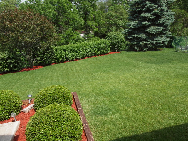 345 S Westgate Rd, Des Plaines, IL 60016 photo 2