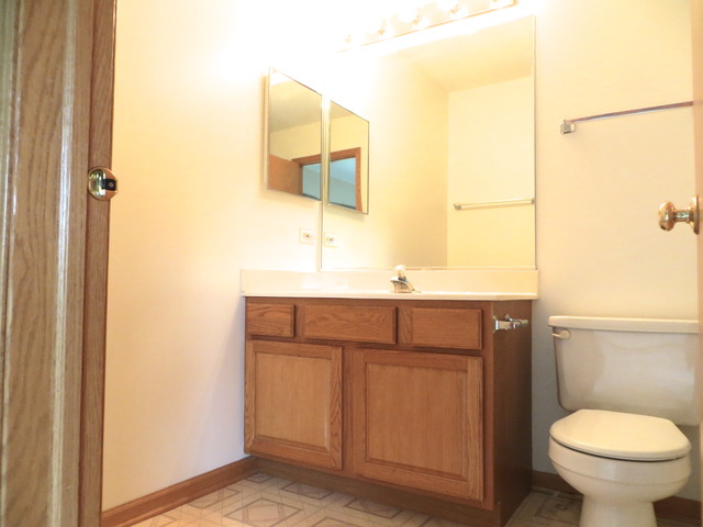 1439 Eliot Trl, Elgin, IL 60120 photo 14