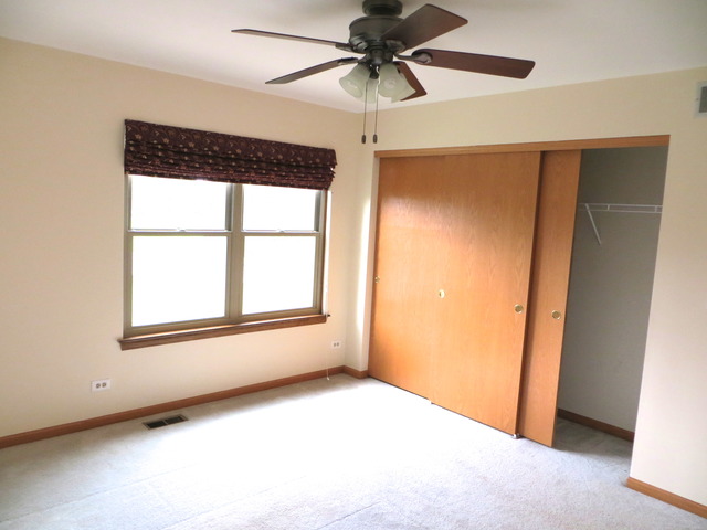 1439 Eliot Trl, Elgin, IL 60120 photo 11