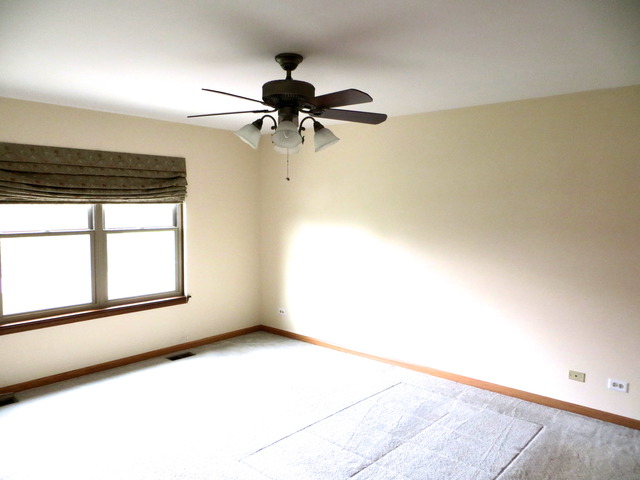 1439 Eliot Trl, Elgin, IL 60120 photo 12