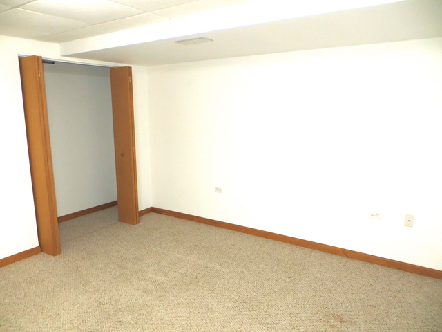 1439 Eliot Trl, Elgin, IL 60120 photo 19