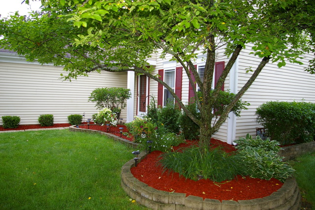 541 Plank Rd, Naperville, IL 60563 photo 2