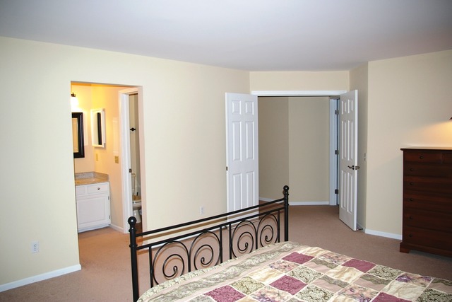 541 Plank Rd, Naperville, IL 60563 photo 11