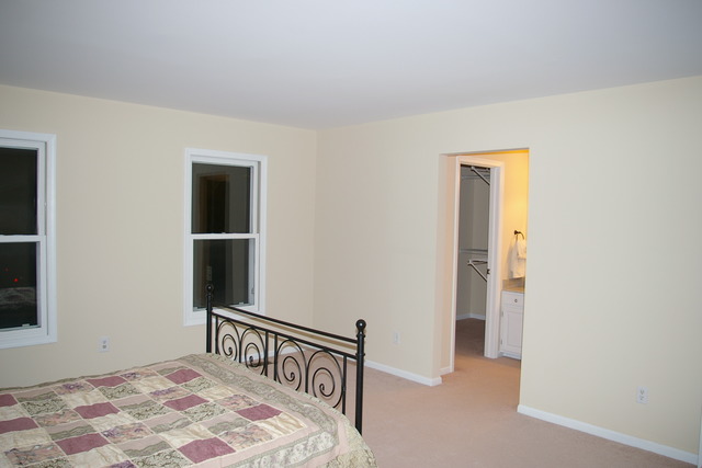541 Plank Rd, Naperville, IL 60563 photo 12