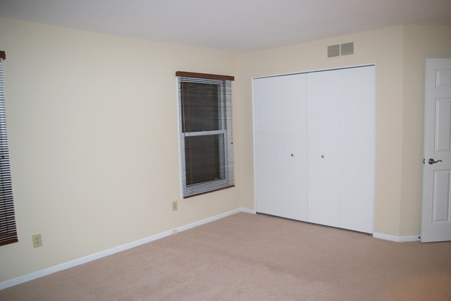 541 Plank Rd, Naperville, IL 60563 photo 15