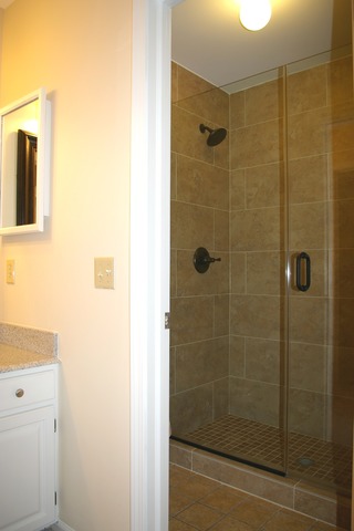 541 Plank Rd, Naperville, IL 60563 photo 13