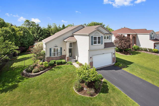 14545 Etchingham Dr, Lockport, IL 60441 photo 1