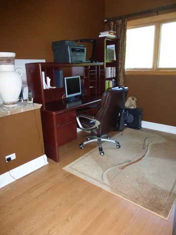2928 Covert Rd, Glenview, IL 60025 photo 13