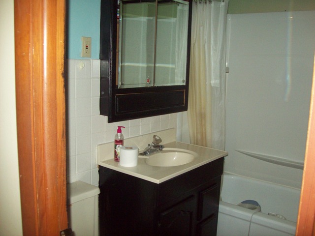 115 Stephens Ave, Walnut, IL 61376 photo 7