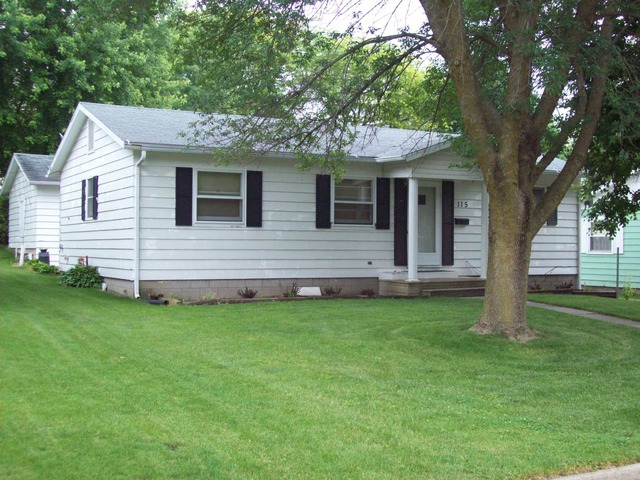 115 Stephens Ave, Walnut, IL 61376 photo 1