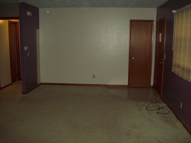 115 Stephens Ave, Walnut, IL 61376 photo 4