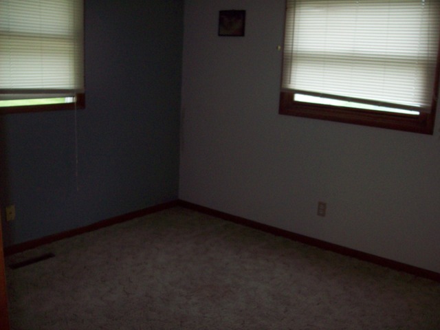 115 Stephens Ave, Walnut, IL 61376 photo 6