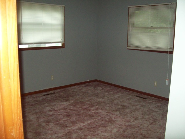 115 Stephens Ave, Walnut, IL 61376 photo 5