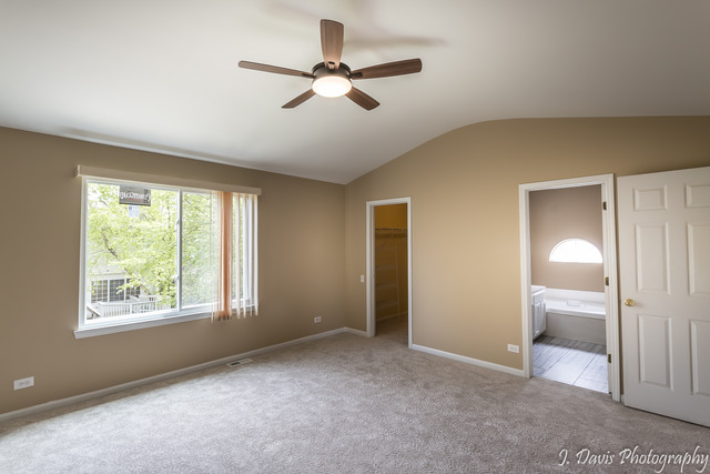 1352 Tara Belle Pkwy, Naperville, IL 60564 photo 11
