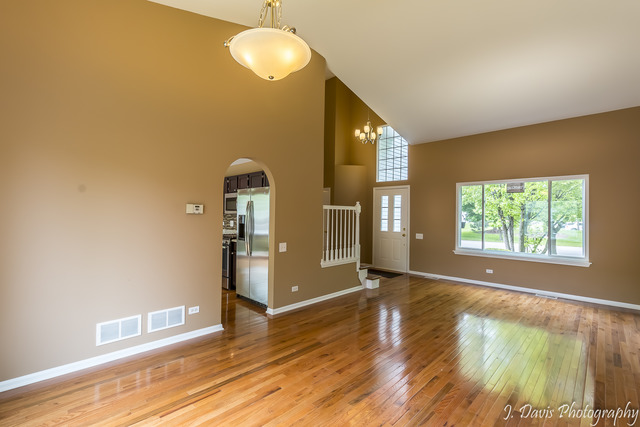 1352 Tara Belle Pkwy, Naperville, IL 60564 photo 5