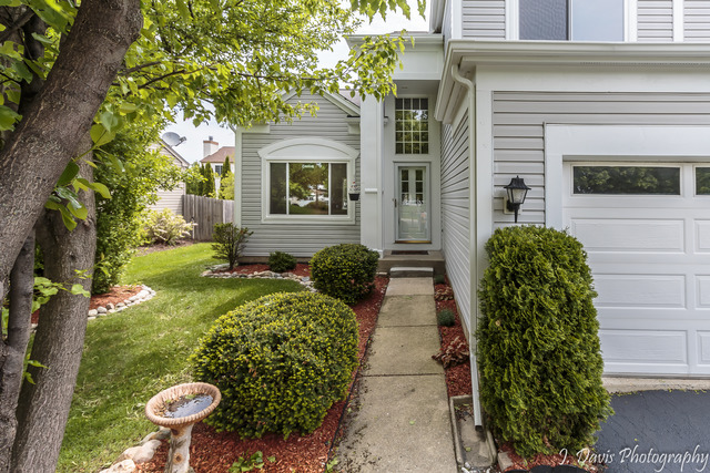 1352 Tara Belle Pkwy, Naperville, IL 60564 photo 2