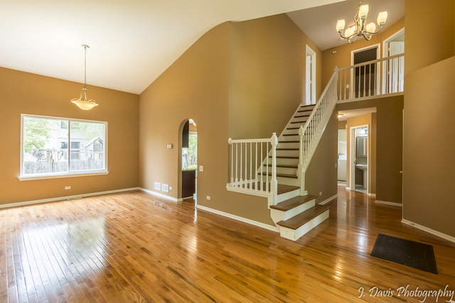 1352 Tara Belle Pkwy, Naperville, IL 60564 photo 4