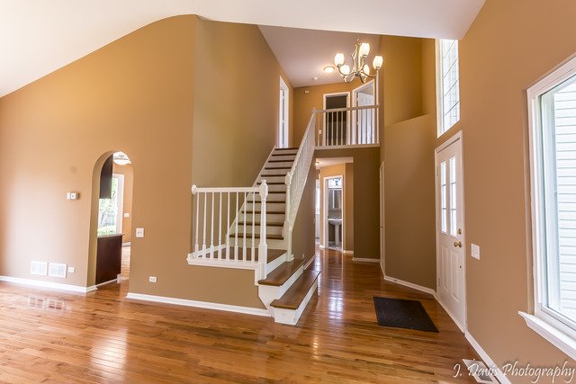 1352 Tara Belle Pkwy, Naperville, IL 60564 photo 3