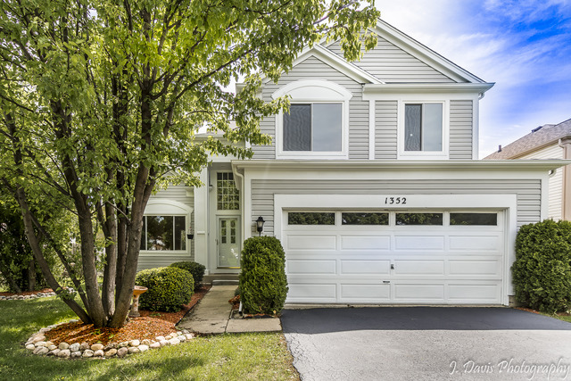1352 Tara Belle Pkwy, Naperville, IL 60564 photo 1