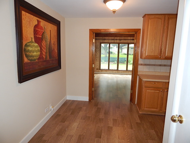 886 Diane Ave, Elgin, IL 60123 photo 4
