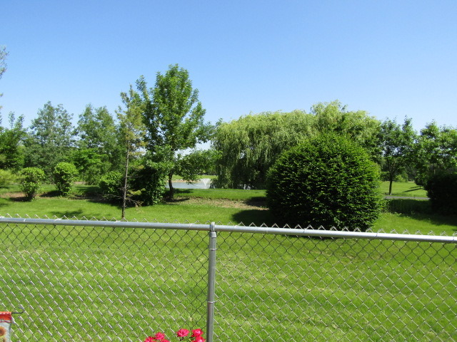 322 E Alden Dr, Addison, IL 60101 photo 23