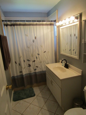 322 E Alden Dr, Addison, IL 60101 photo 11