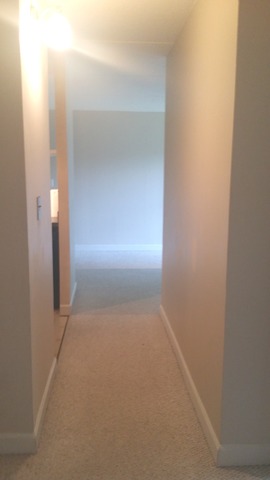 5550 Astor Ln #210, Rolling Meadows, IL 60008 photo 8