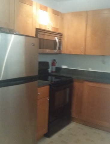 5550 Astor Ln #210, Rolling Meadows, IL 60008 photo 3