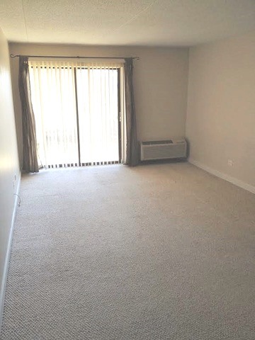 5550 Astor Ln #210, Rolling Meadows, IL 60008 photo 5
