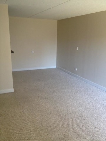5550 Astor Ln #210, Rolling Meadows, IL 60008 photo 4