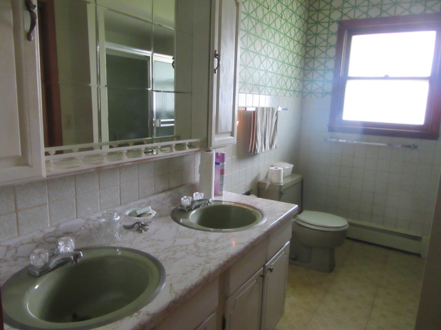 23923 W Norman Ave, Plainfield, IL 60544 photo 10