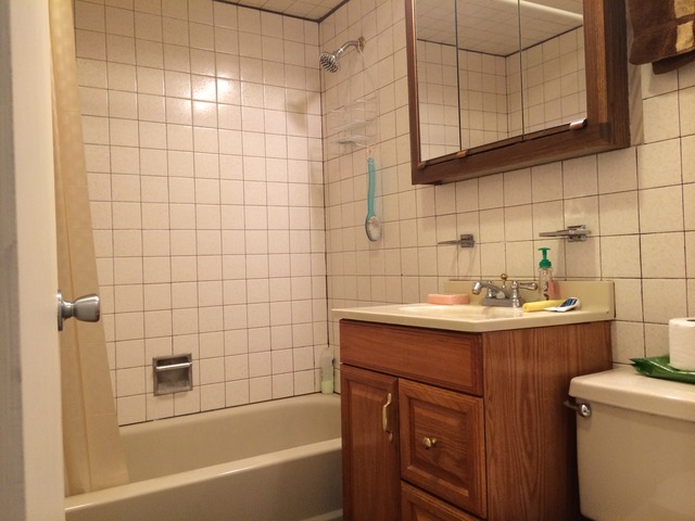 2816 E 127th St, Chicago, IL 60633 photo 7