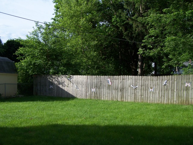 3515 Washington St, Mchenry, IL 60050 photo 18