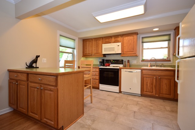 419 E Park Ave, Elmhurst, IL 60126 photo 7