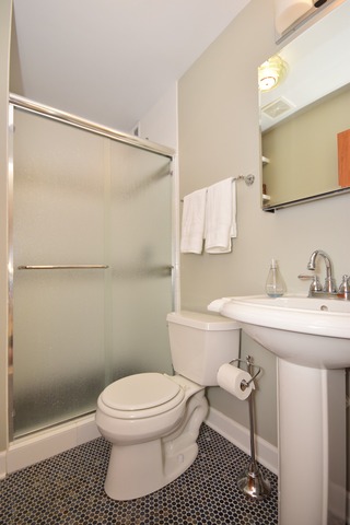 419 E Park Ave, Elmhurst, IL 60126 photo 15