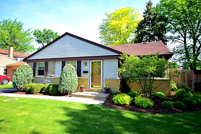 419 E Park Ave, Elmhurst, IL 60126 photo 2