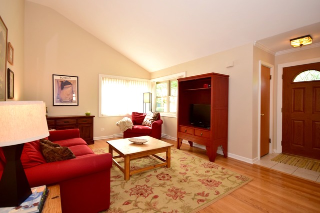 419 E Park Ave, Elmhurst, IL 60126 photo 3