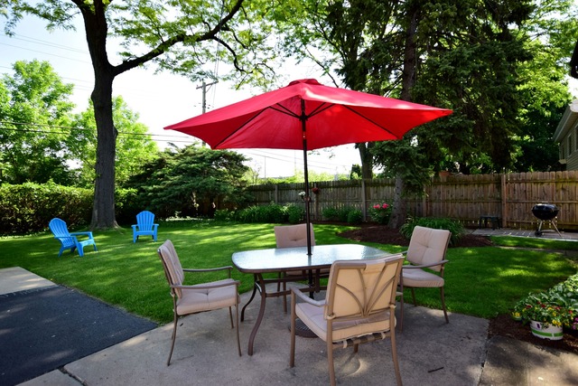 419 E Park Ave, Elmhurst, IL 60126 photo 19
