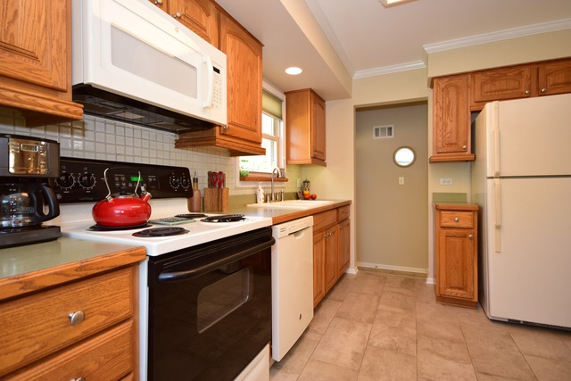 419 E Park Ave, Elmhurst, IL 60126 photo 8