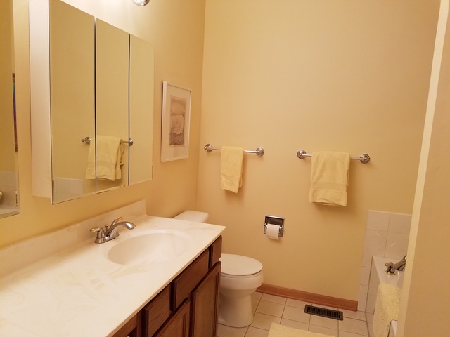 378 Bay Dr, Itasca, IL 60143 photo 10