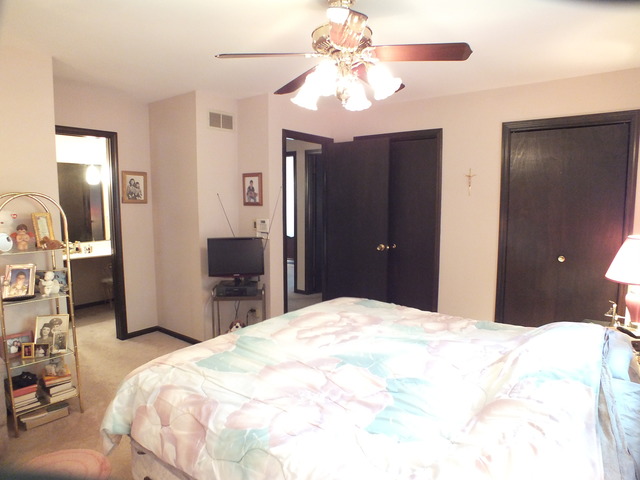 7333 Exner Rd, Darien, IL 60561 photo 9