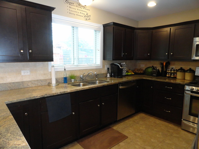 428 Mooseheart Dr, Morris, IL 60450 photo 5
