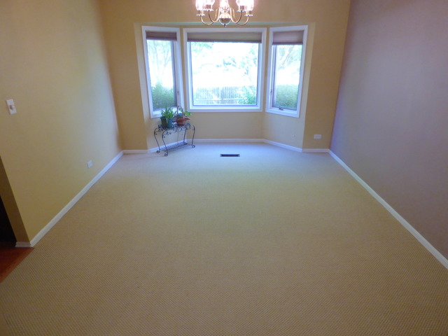 936 Hillside Ct, Bartlett, IL 60103 photo 8