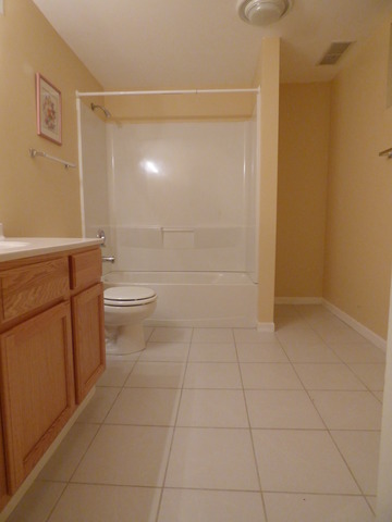 936 Hillside Ct, Bartlett, IL 60103 photo 18