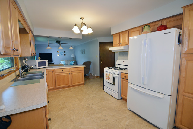 173 Westgate Dr, Elgin, IL 60123 photo 7