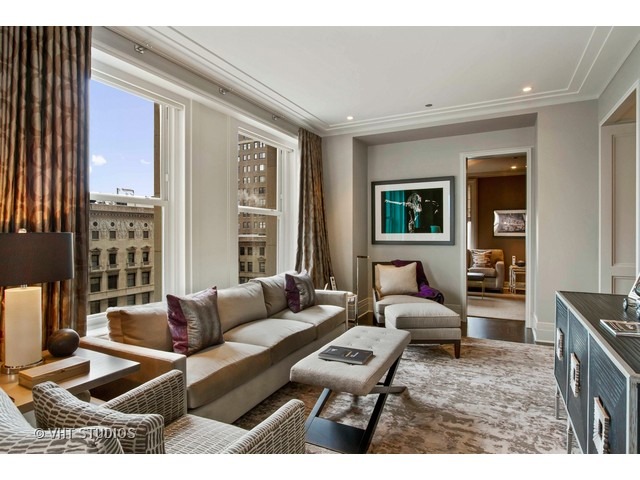 159 E Walton Pl #12A, Chicago, IL 60611 photo 4
