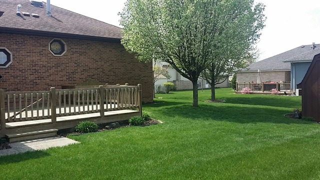 18804 Dickens Dr, Mokena, IL 60448 photo 13