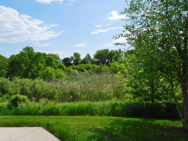 2249 Concord Dr, Mchenry, IL 60050 photo 4