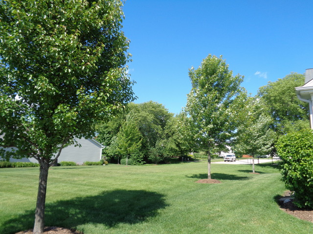 719 Tahoe Trl, Elgin, IL 60124 photo 4